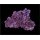 Real Reef Mini Shelf Rock (pro kg)