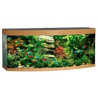 Juwel Aquarium Vision 450 LED hell
