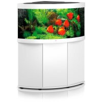 Juwel Aquarium Trigon 350 weiss inkl. Schrank