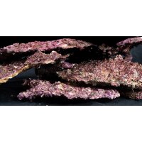 Real Reef Shelf Rock (pro kg)